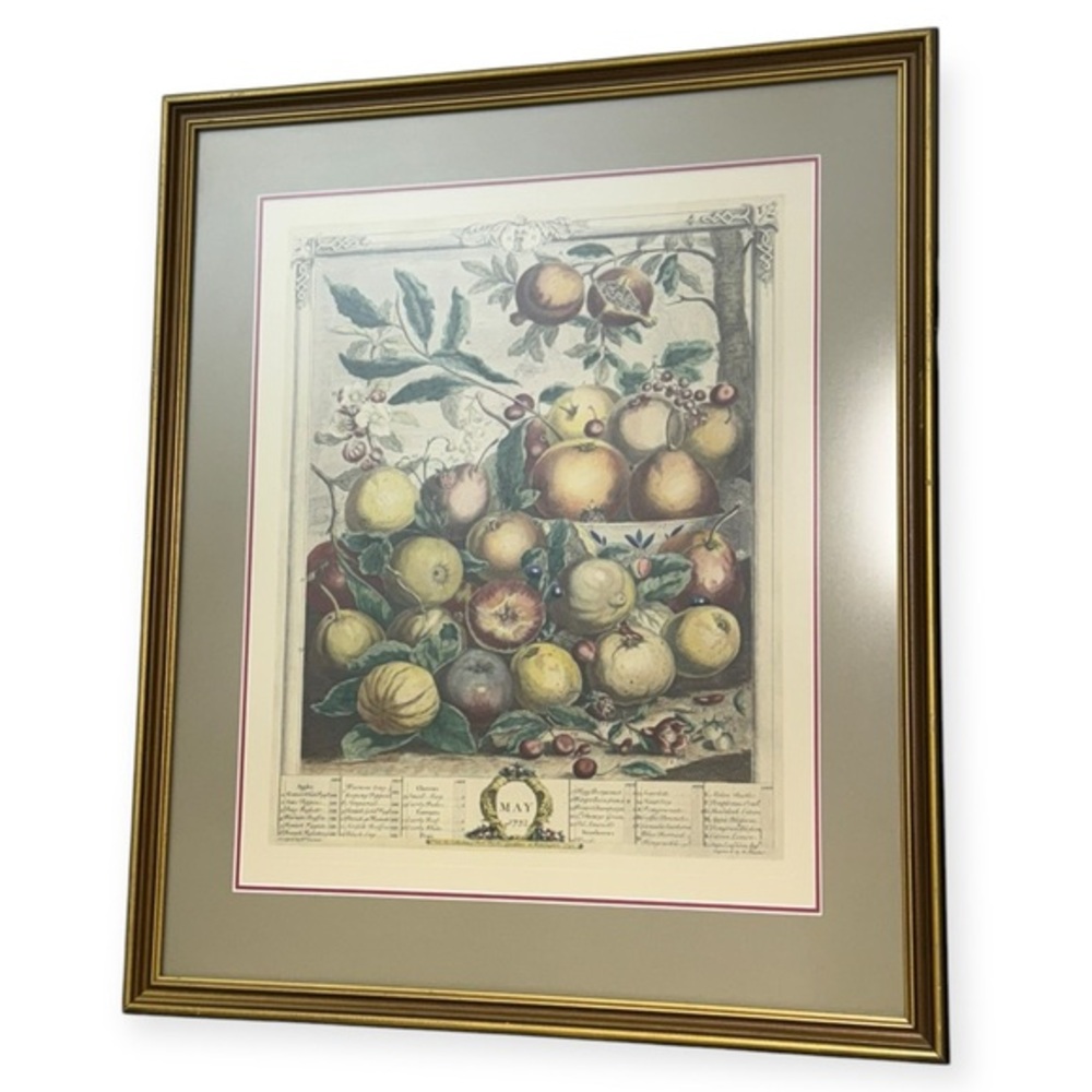May, from 'Twelve Months of Fruits', by Robert Furber, 1732‎ Print Framed